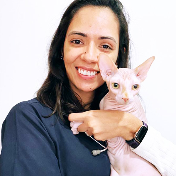 Vetplace SBC Clinica Veterinária , Hospital Veterinário , Pet Shop, Veterinária em São Bernardo