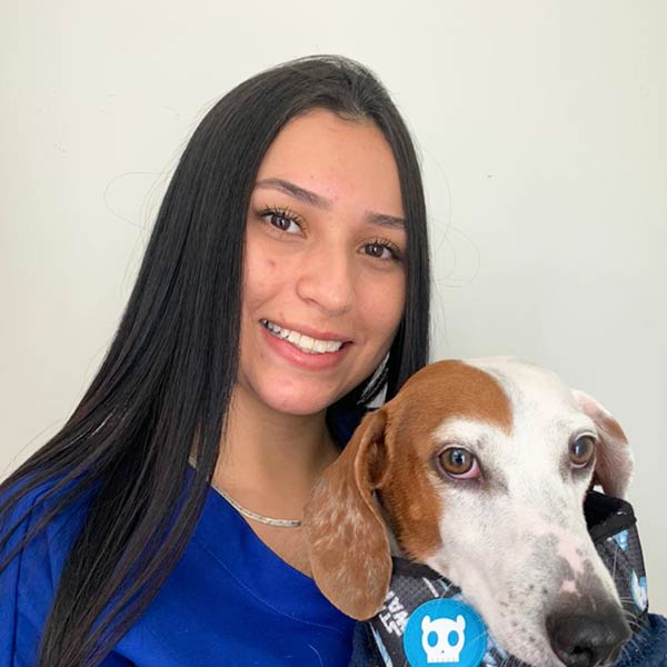 Vetplace SBC Clinica Veterinária , Hospital Veterinário , Pet Shop, Veterinária em São Bernardo